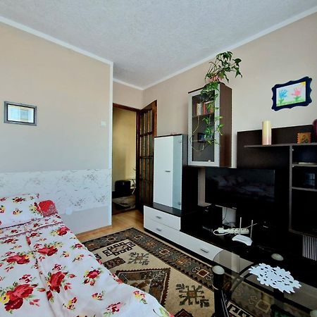Sabina Apartment Сигишоара Экстерьер фото
