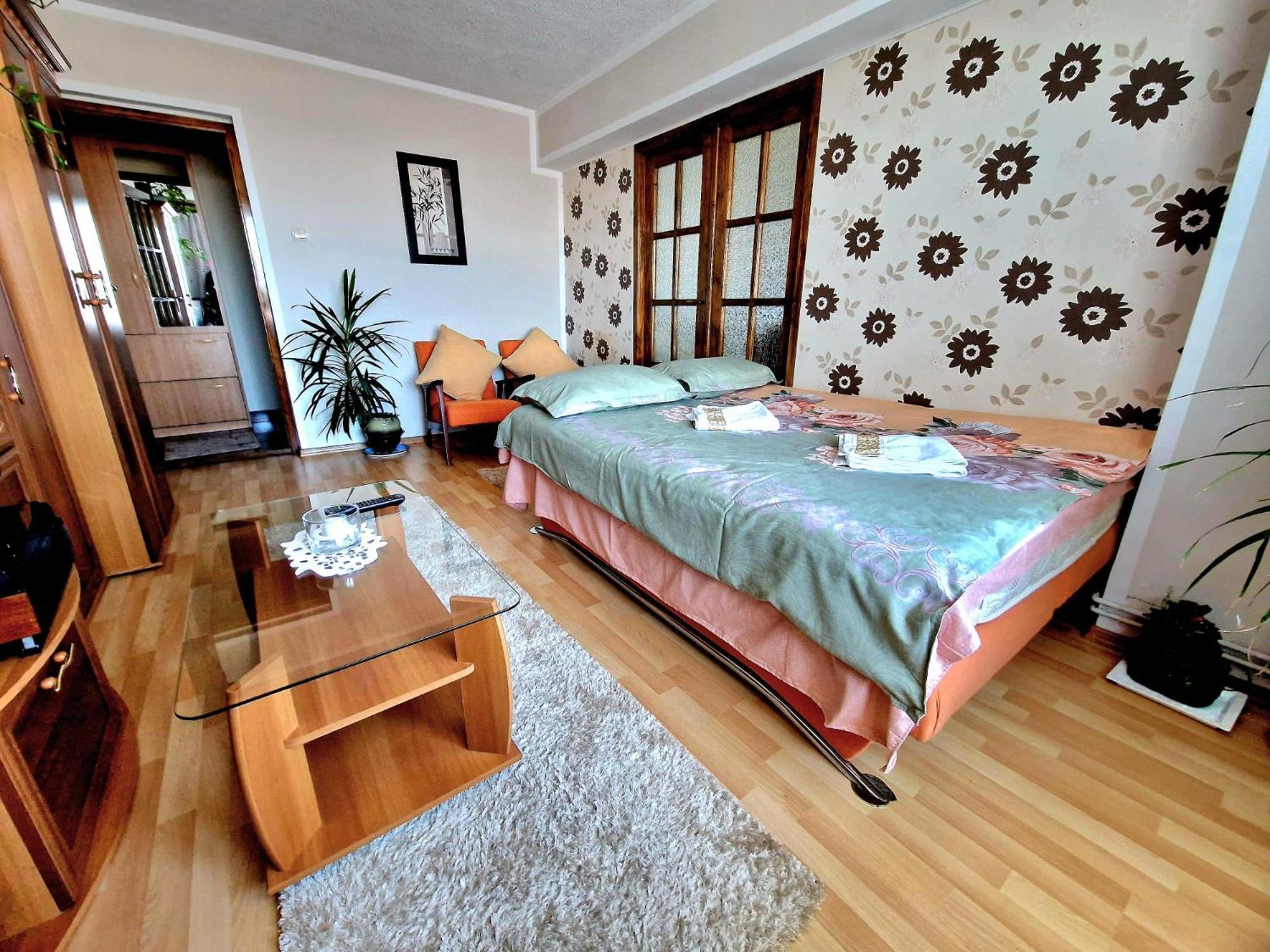 Sabina Apartment Сигишоара Экстерьер фото